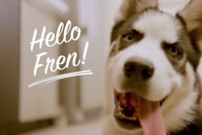 PET HONESTY AMAZON AD